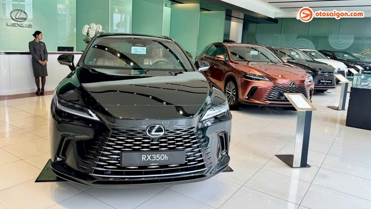 Cuộc đổi ngôi phân khúc xe sang Việt: Lexus “đứng im” vẫn tăng trưởng, Mercedes mất lợi thế vì tăng giá, BMW lắp ráp giảm giá